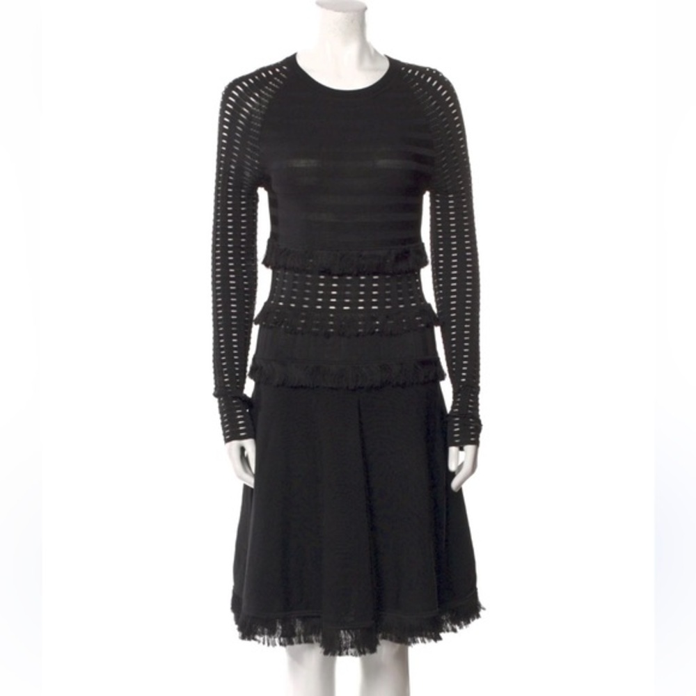 Jason Wu Fringe Mesh Long Sleeve A-line Holiday Dress